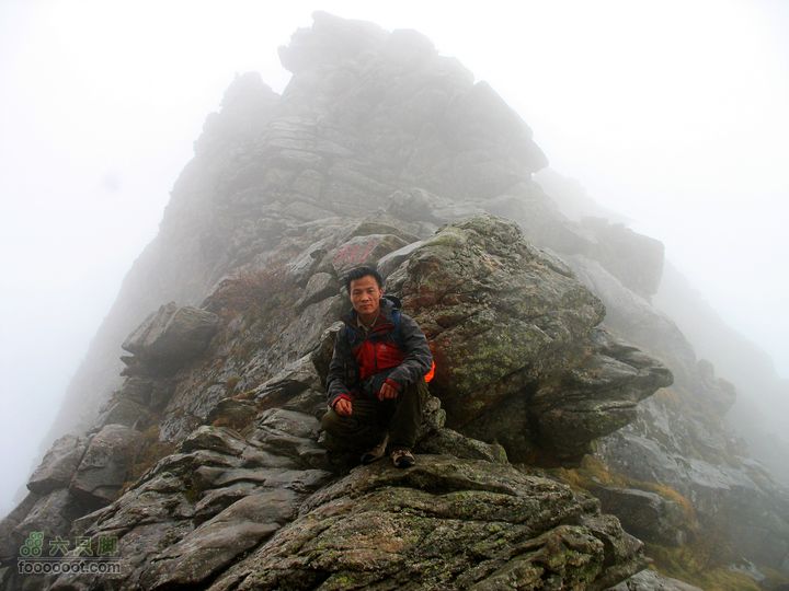 朱雀森林公园conew_img_0045