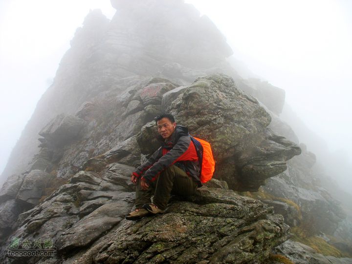 朱雀森林公园conew_img_0046