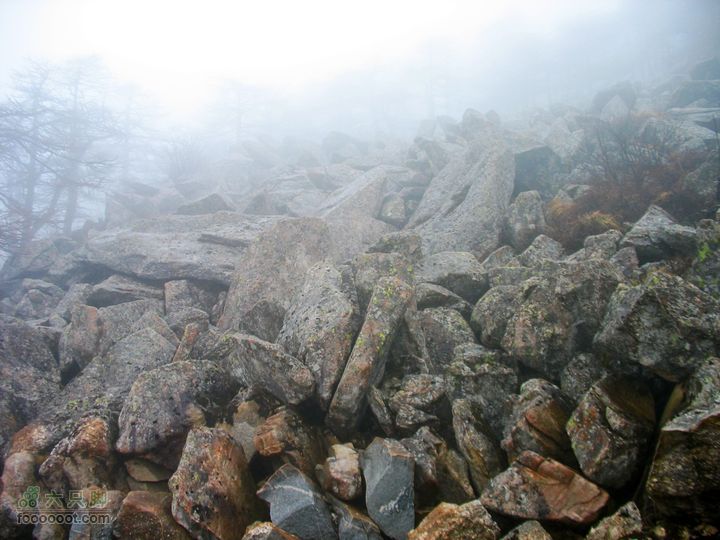 朱雀森林公园conew_img_0055