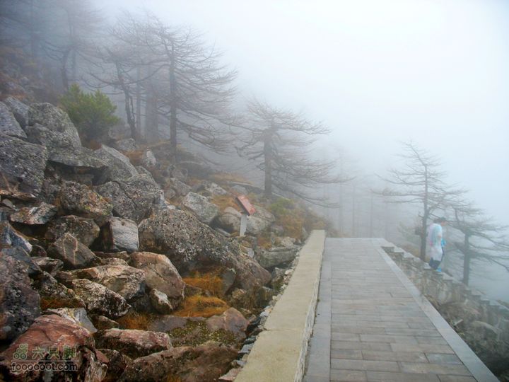 朱雀森林公园conew_img_0056