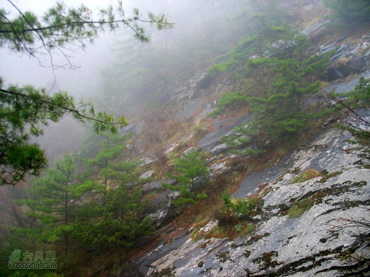 朱雀森林公园conew_img_0060