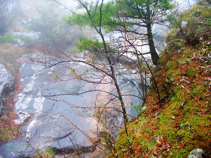 朱雀森林公园conew_img_0063