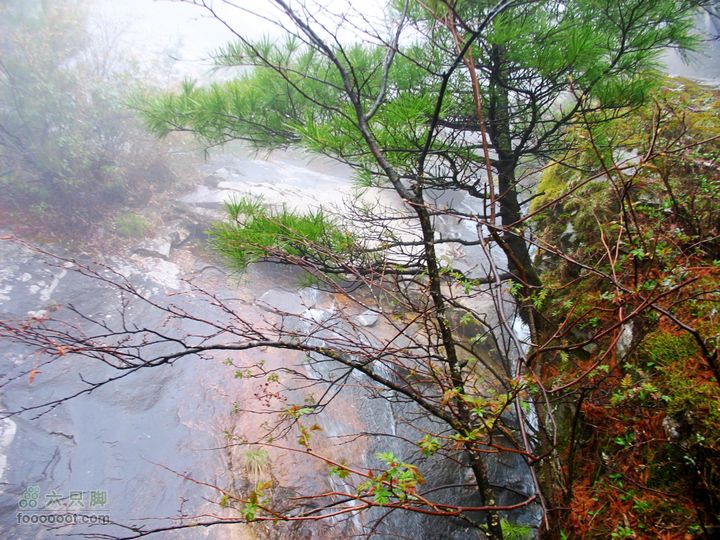 朱雀森林公园conew_img_0064