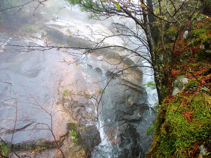 朱雀森林公园conew_img_0065