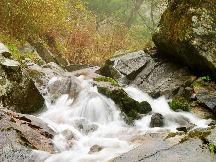 朱雀森林公园conew_img_0087