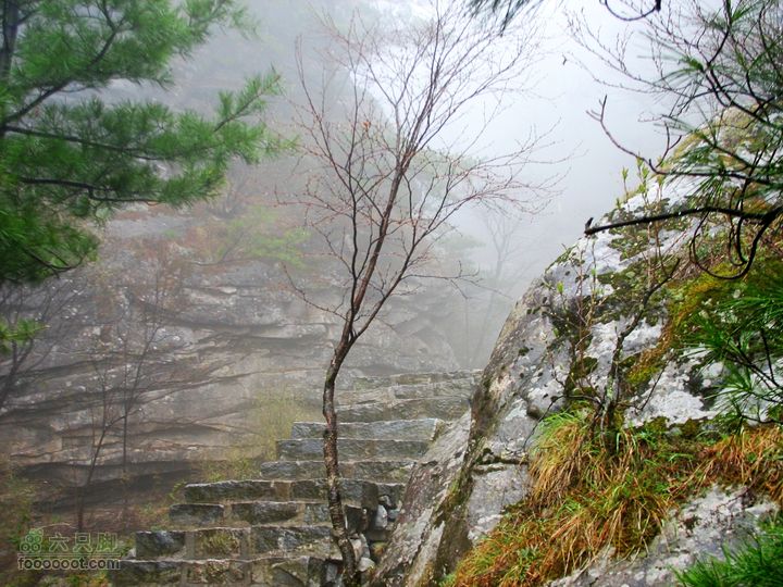 朱雀森林公园conew_img_0069