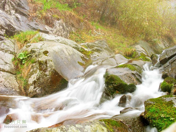 朱雀森林公园conew_img_0073