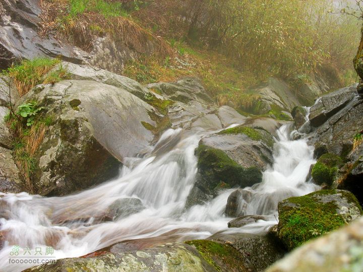 朱雀森林公园conew_img_0074