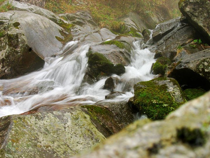 朱雀森林公园conew_img_0075