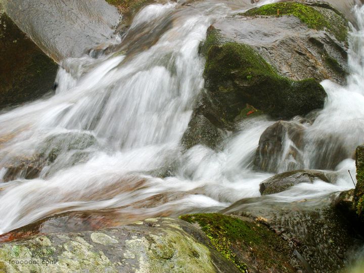 朱雀森林公园conew_img_0076