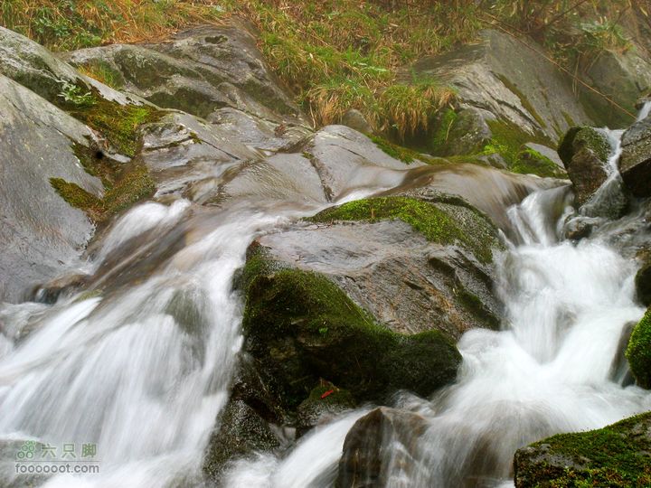 朱雀森林公园conew_img_0077