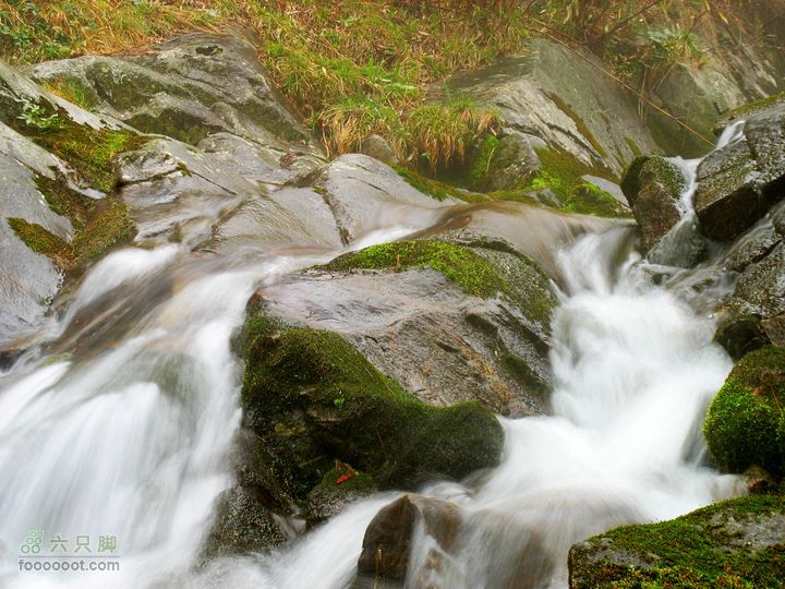 朱雀森林公园conew_img_0078