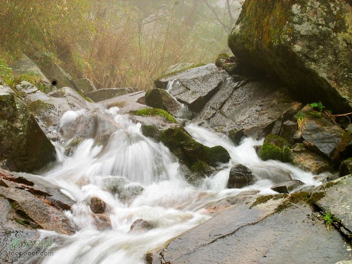 朱雀森林公园conew_img_0082