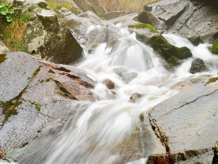 朱雀森林公园conew_img_0083