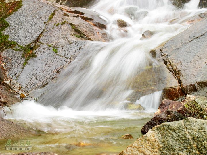 朱雀森林公园conew_img_0085