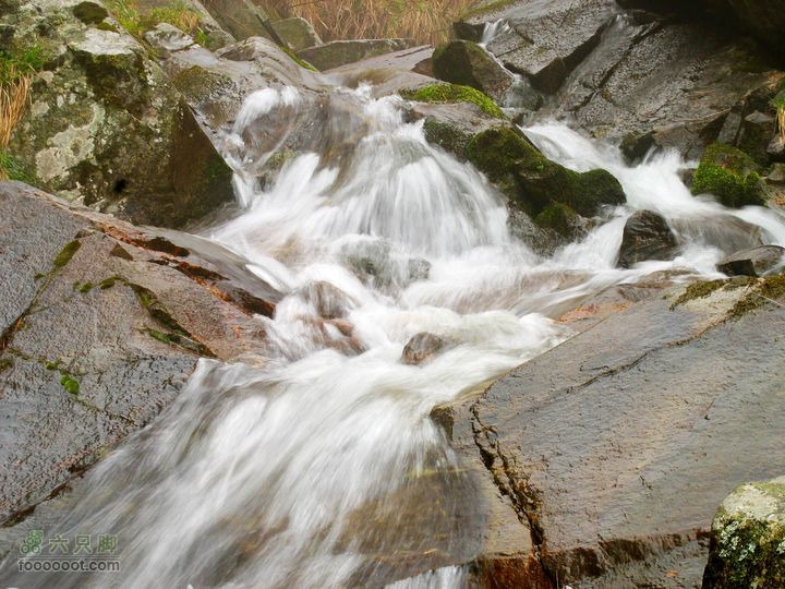 朱雀森林公园conew_img_0086