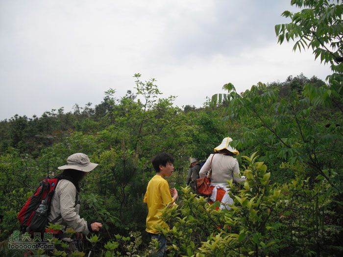4.30仙居景星岩徒步最高海拔区域