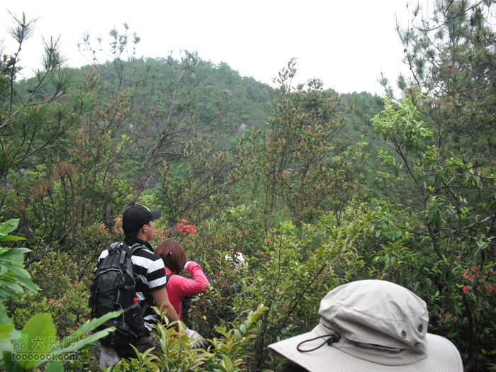 4.30仙居景星岩徒步DSCF1744