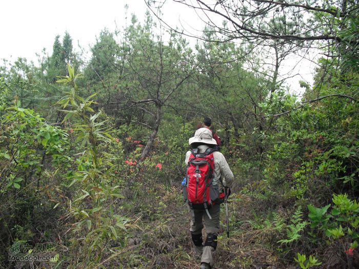 4.30仙居景星岩徒步DSCF1749