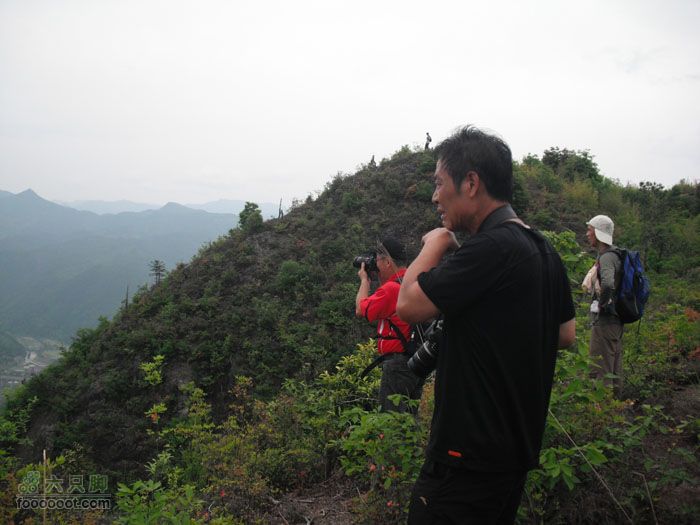 4.30仙居景星岩徒步DSCF1756