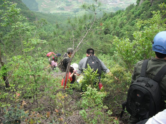 4.30仙居景星岩徒步DSCF1781