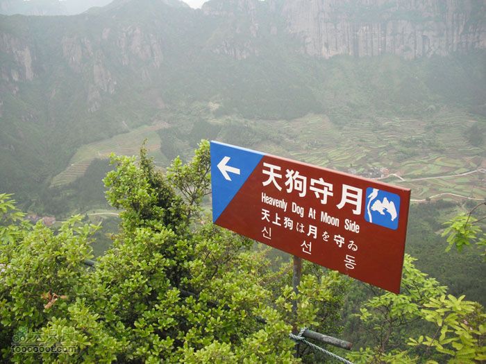 4.30仙居景星岩徒步好像是三条狗