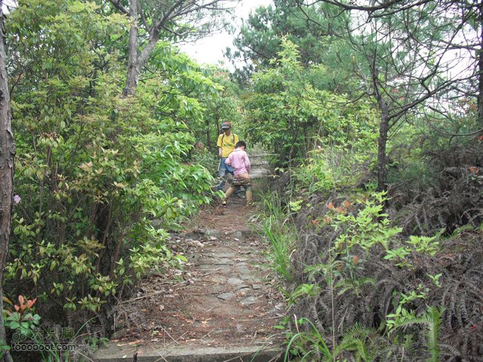 4.30仙居景星岩徒步2小朋友对着放水、、、