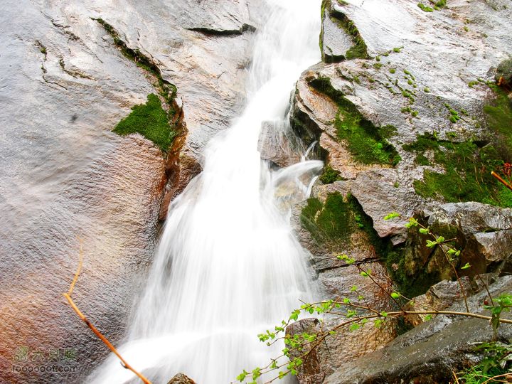 朱雀森林公园conew_img_0096