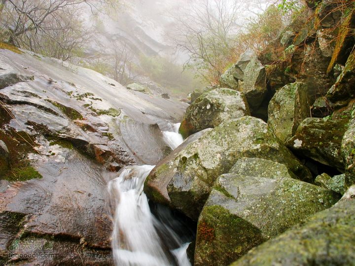 朱雀森林公园conew_img_0088