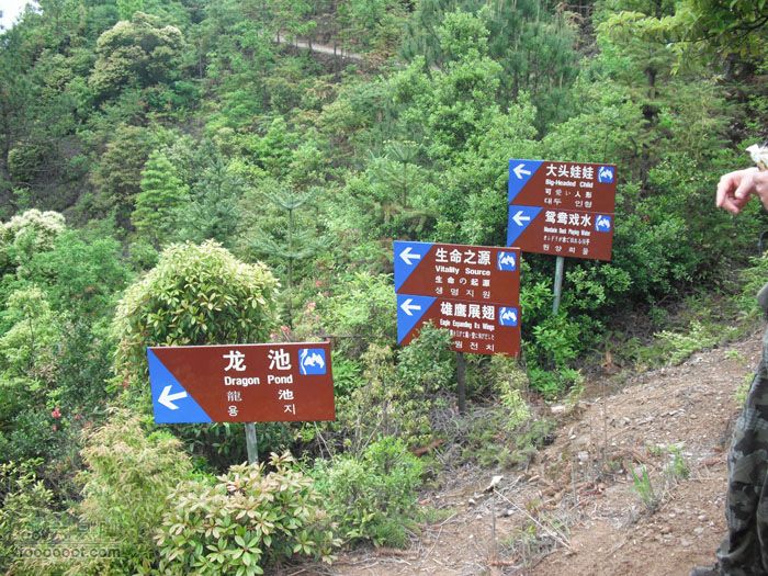 4.30仙居景星岩徒步一个都没看出来。。