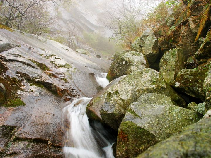 朱雀森林公园conew_img_0089