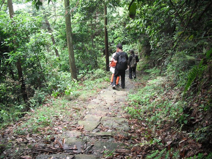 4.30仙居景星岩徒步这路走的人少，很滑