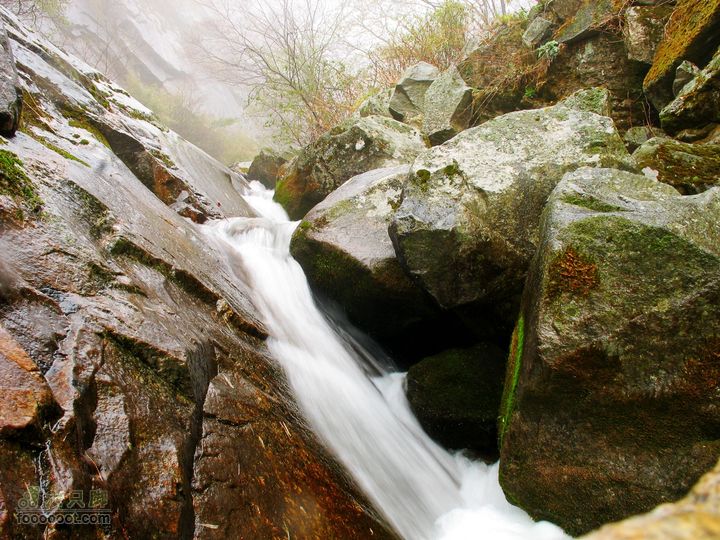 朱雀森林公园conew_img_0091