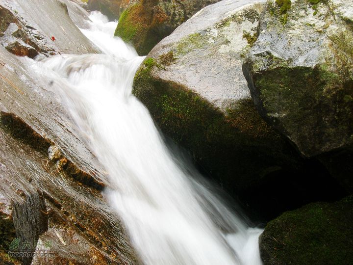 朱雀森林公园conew_img_0092