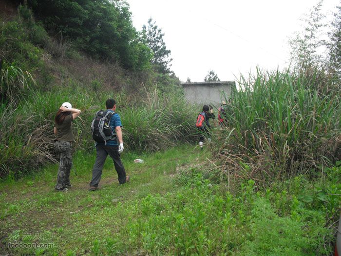 4.30仙居景星岩徒步DSCF1930
