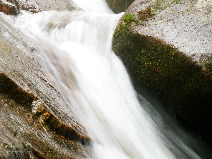 朱雀森林公园conew_img_0093