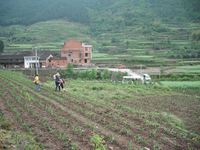4.30仙居景星岩徒步回家的车再等着我们。。