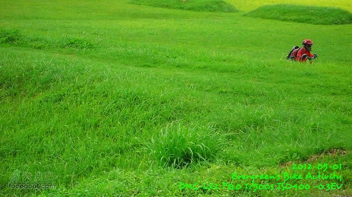 2012 05 01 大埔、上水華山、錦田P1460710