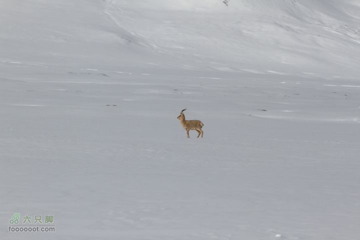 2011_05_31多玛兵站-三十里营房IMG_2790