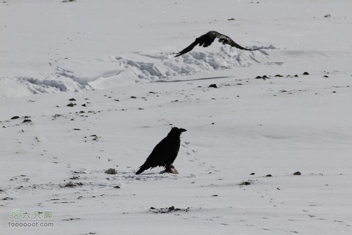 2011_05_31多玛兵站-三十里营房IMG_2805