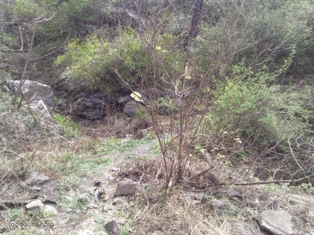 灰地-十字道-峰口庵-小狗之家-九龙山-水闸上了一个小煤堆，右转又一个上升。此处飞虫较多。