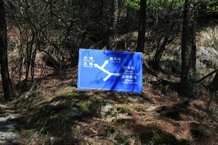 黄山导向牌