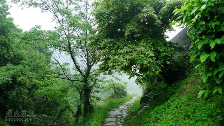 盘古楼尖穿越(桐岭-岷岗)可惜美丽的古道只有一小段就走到尽头