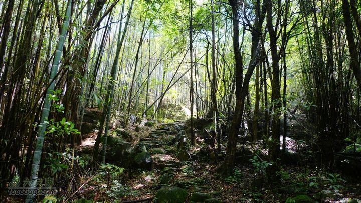 盘古楼尖穿越(桐岭-岷岗)走到二平村，太阳出来了。
