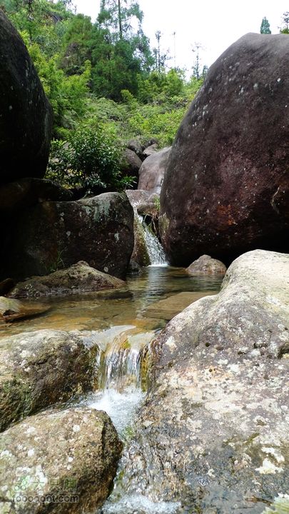盘古楼尖穿越(桐岭-岷岗)林场边上清澈的溪流有许多牛蛙