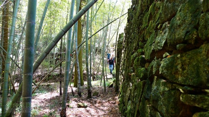 盘古楼尖穿越(桐岭-岷岗)仙牛栏林场