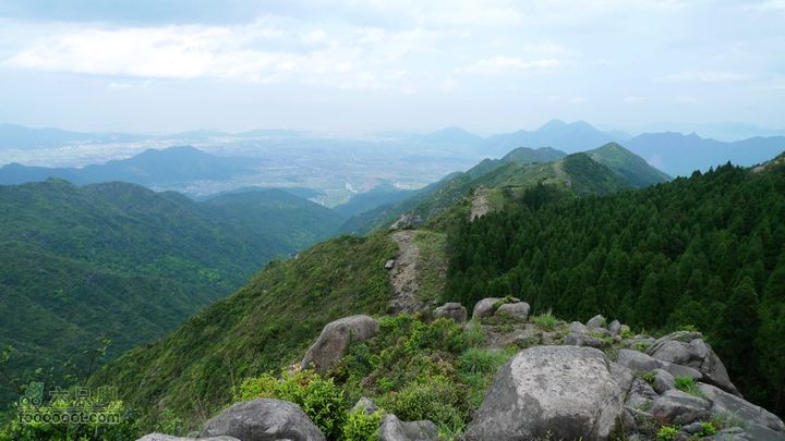 盘古楼尖穿越(桐岭-岷岗)在防火带上走了一个多小时