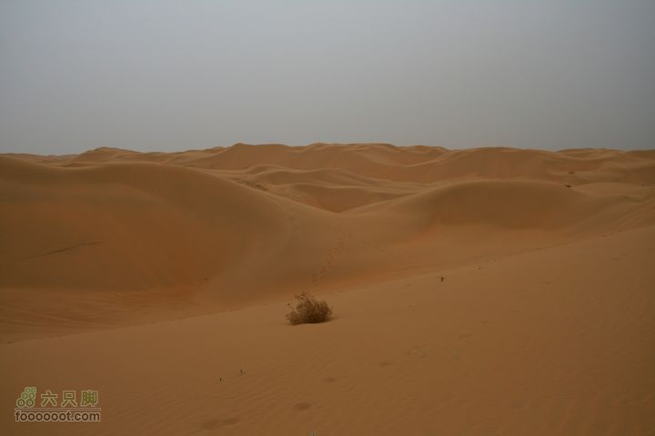 2012.5.1库布齐沙漠穿越（恩格贝--龙头拐）IMG_2096