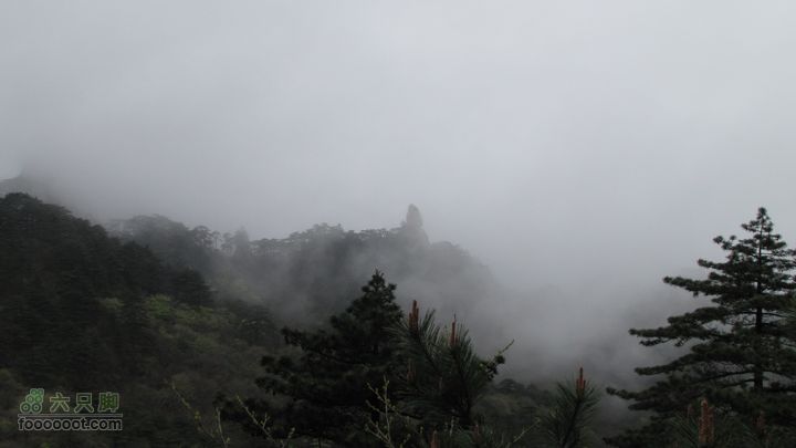 黄山前后山穿越 云谷寺-光明顶-迎客松-慈光阁IMG_1547