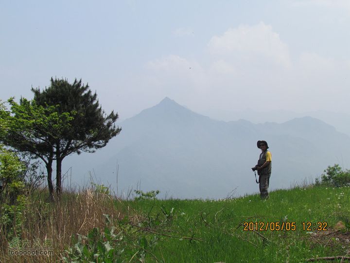 5.5 五泉岭--甘峪梁--佛疙瘩穿越2012.5.5五泉岭穿越 138_副本